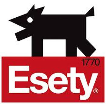Esety логотип